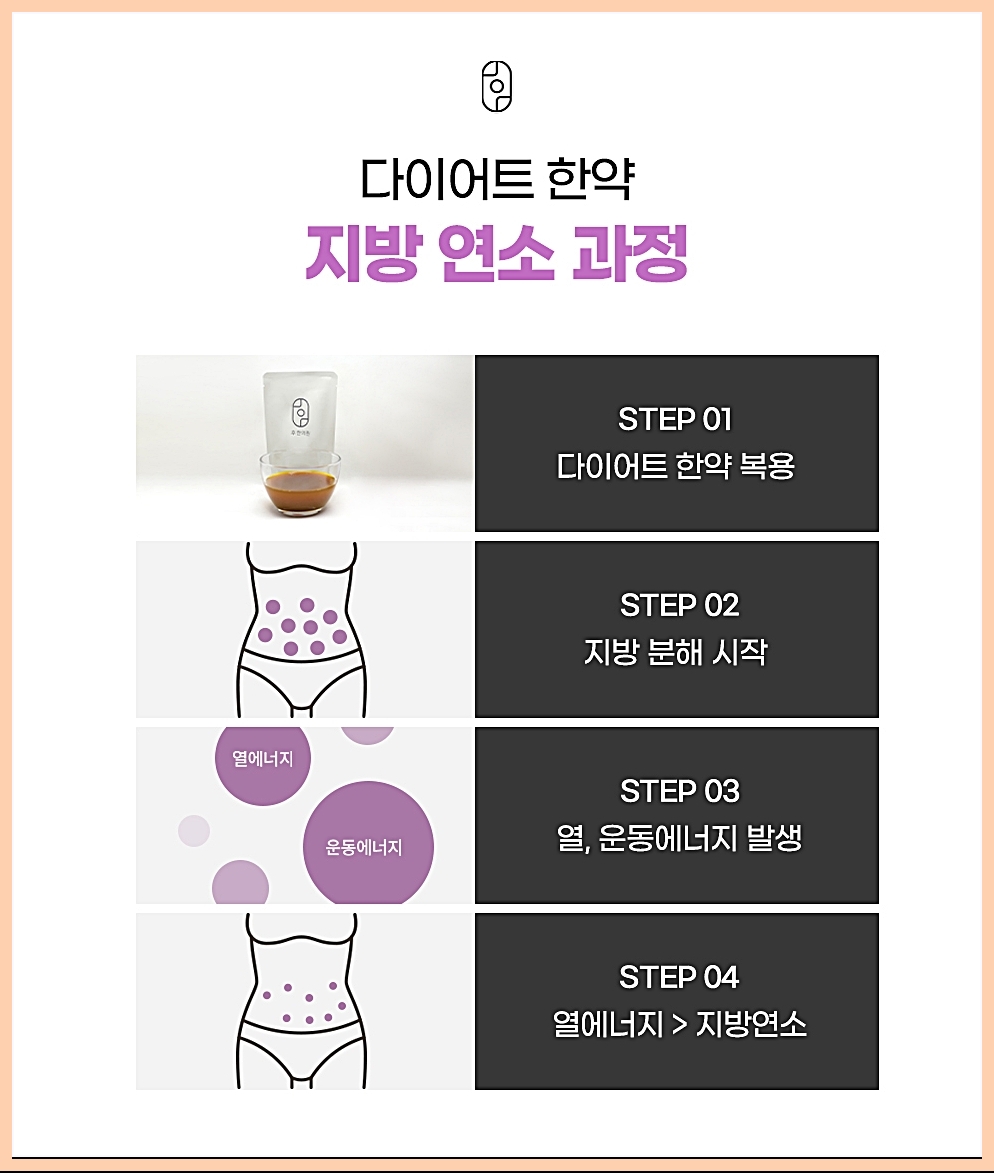 다이어트한약의 지방을 연소시키는 과정 설명 이미지