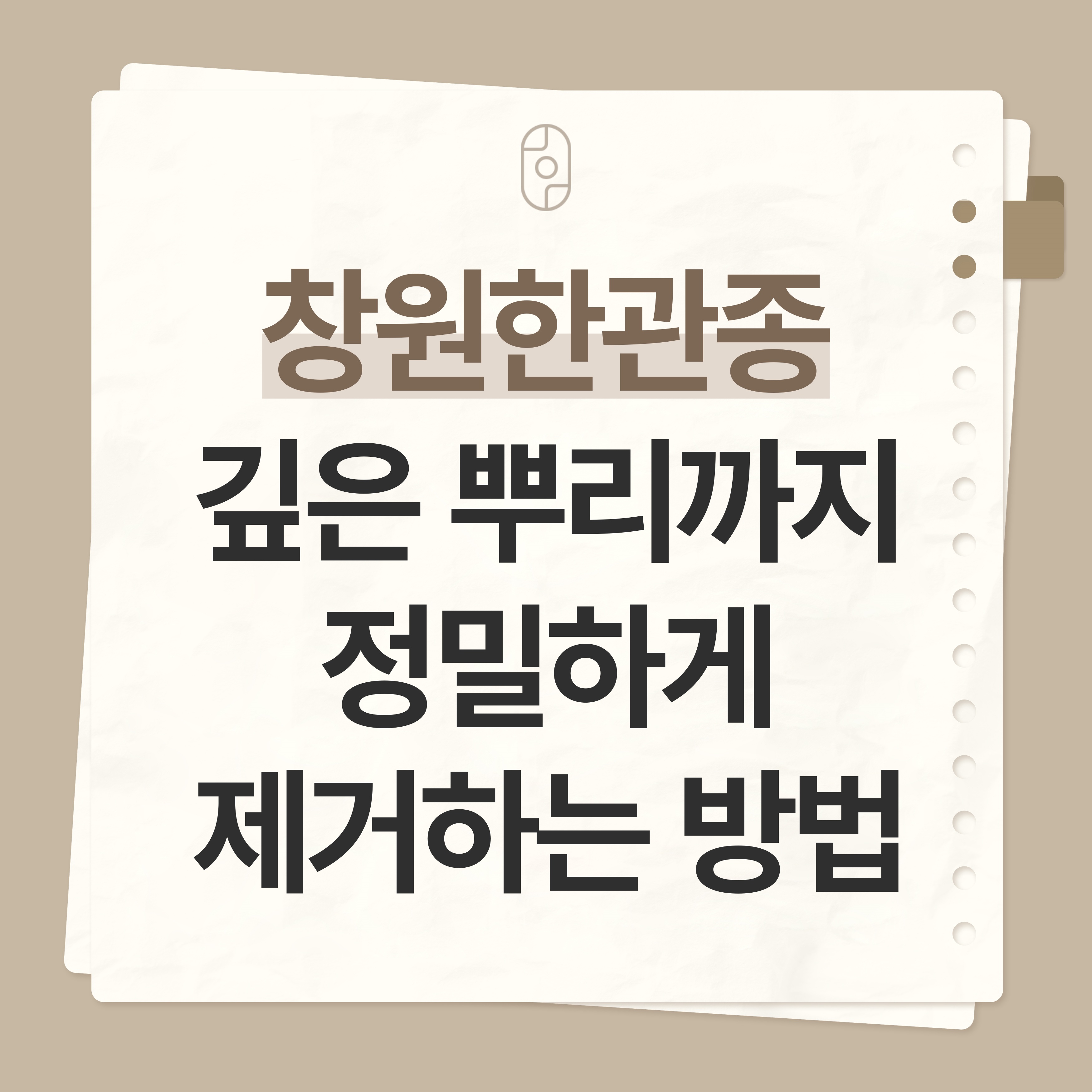창원 한관종